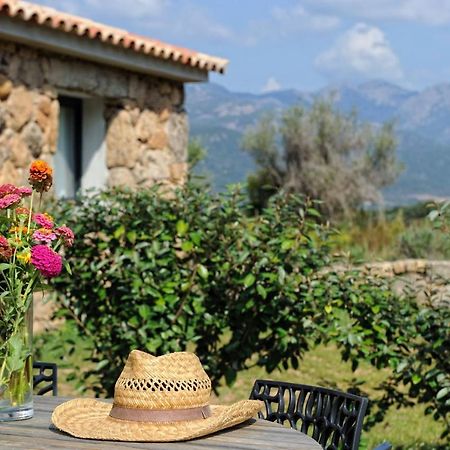 Clos Simoni Figari (Corsica) Exterior foto